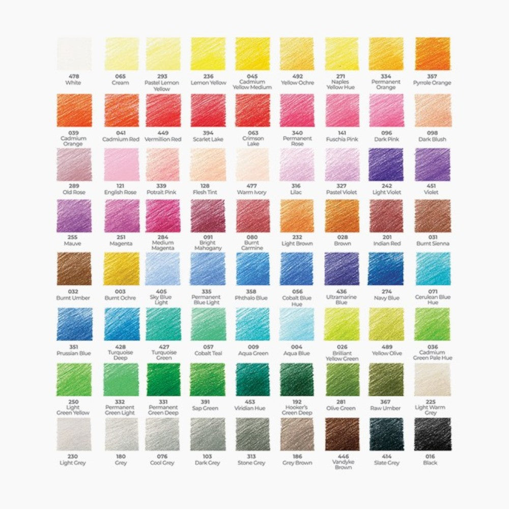 Camlin Artist Colour Pencils - 24 & 72 Shades - Wax-Based Sets